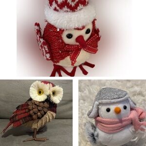 RARE WINTER CHRISTMAS BIRDS